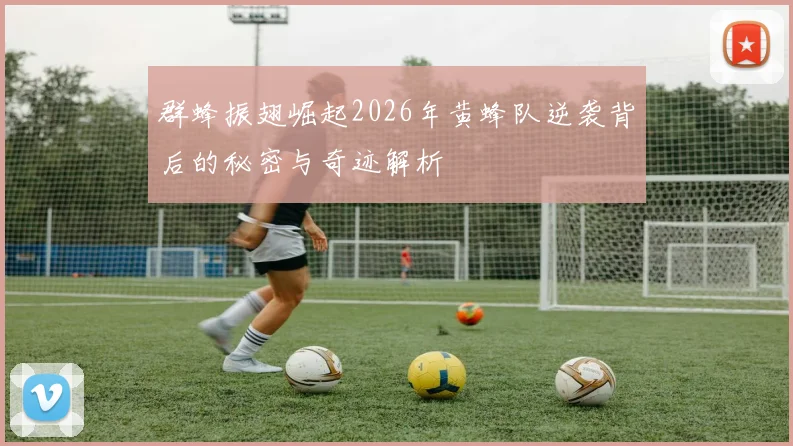 群蜂振翅崛起2026年黄蜂队逆袭背后的秘密与奇迹解析