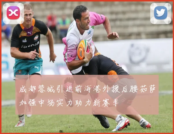 成都蓉城引进前海港外援后腰茹萨加强中场实力助力新赛季
