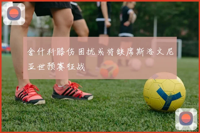舍什科膝伤困扰或将缺席斯洛文尼亚世预赛征战