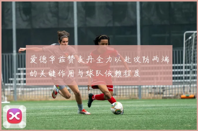 爱德华兹赞麦丹全力以赴攻防两端的关键作用与球队依赖程度